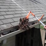 What should you know about roof restoration?
