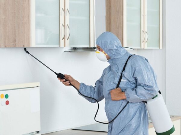 5 Perks of Residential Pest Control Services