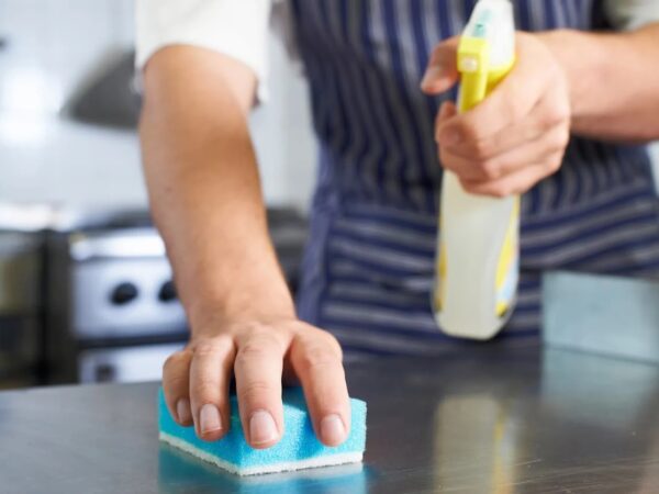 Your Comprehensive Manual for Kitchen Sanitation